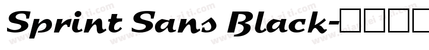 Sprint Sans Black字体转换